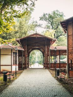 parcul-dentrologic-rogera-2