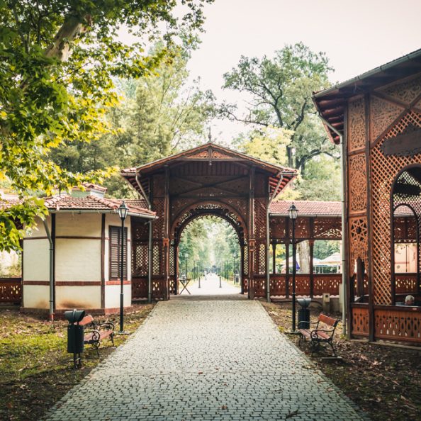 parcul-dentrologic-rogera-2