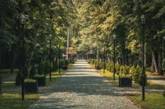 parcul-dentrologic-rogera